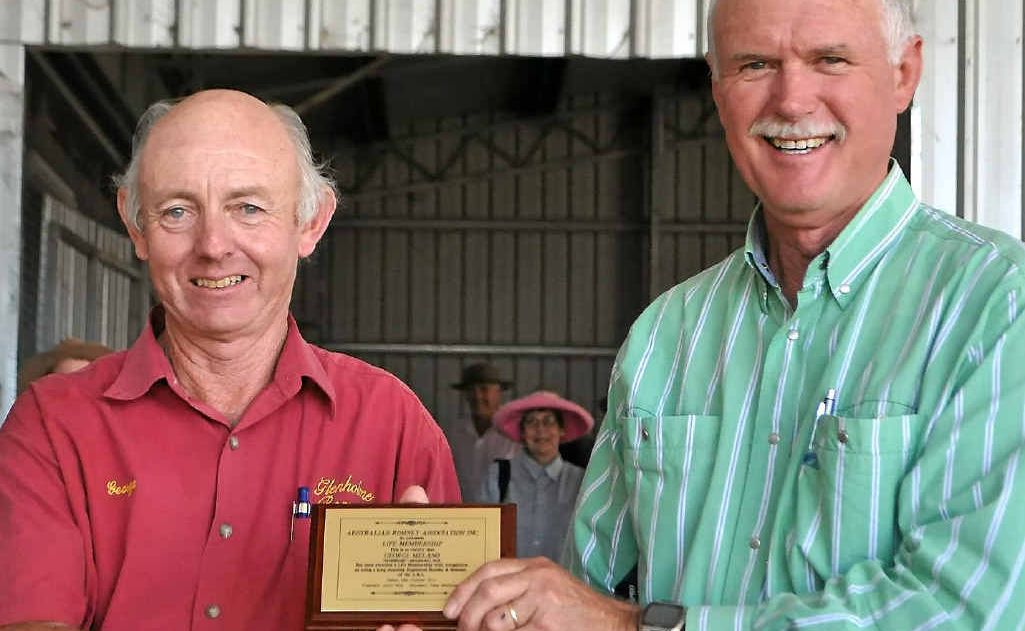 George Milano was presented with life membership in the Australian Romney Association by president Gavin Wall. George Milano was presented with life membership in the Australian Romney Association by president Gavin Wall.